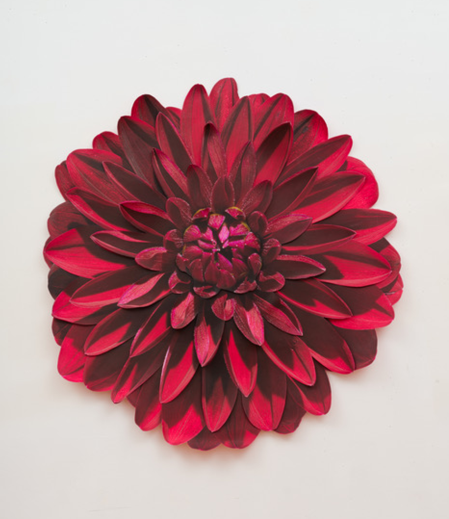 Benjamin Langford's Red Dahlia, 2023, at Megan Mulrooney. The newly opened L.A. gallery is in the first crop of dealers to come on board for Untitled Art, Houston. (© Benjamin Langford; photo by Benjamin Langford studio; courtesy the artist and Megan Mulrooney Gallery)