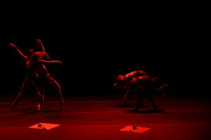 _green apples_ by ISHIDA photographed by Amitava Sarkar.