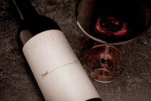 parable_2121red-2-1719938283924.avif.jpeg copy