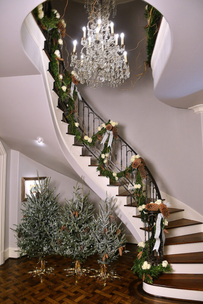 Petite welcoming Christmas trees at the Kappa Kappa Gamma Charitable Foundation home tour preview party(Photo by Dave Rossman)