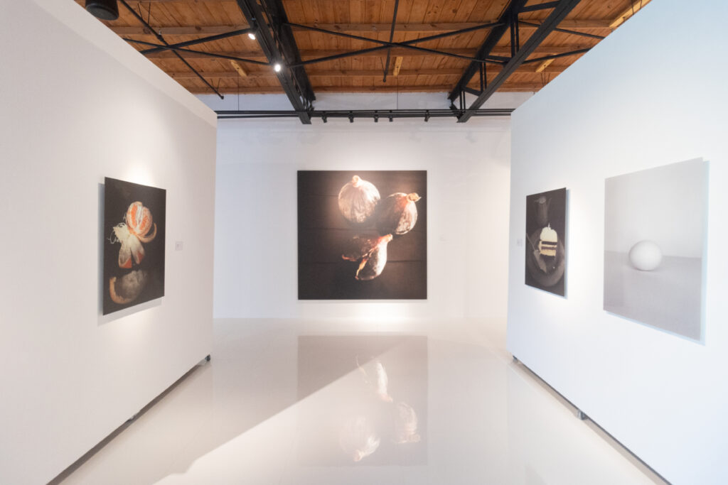 Lekha Singh Art - "Open Heart, Figs, Cake, Egg" (Photo by Will Von Bolton)