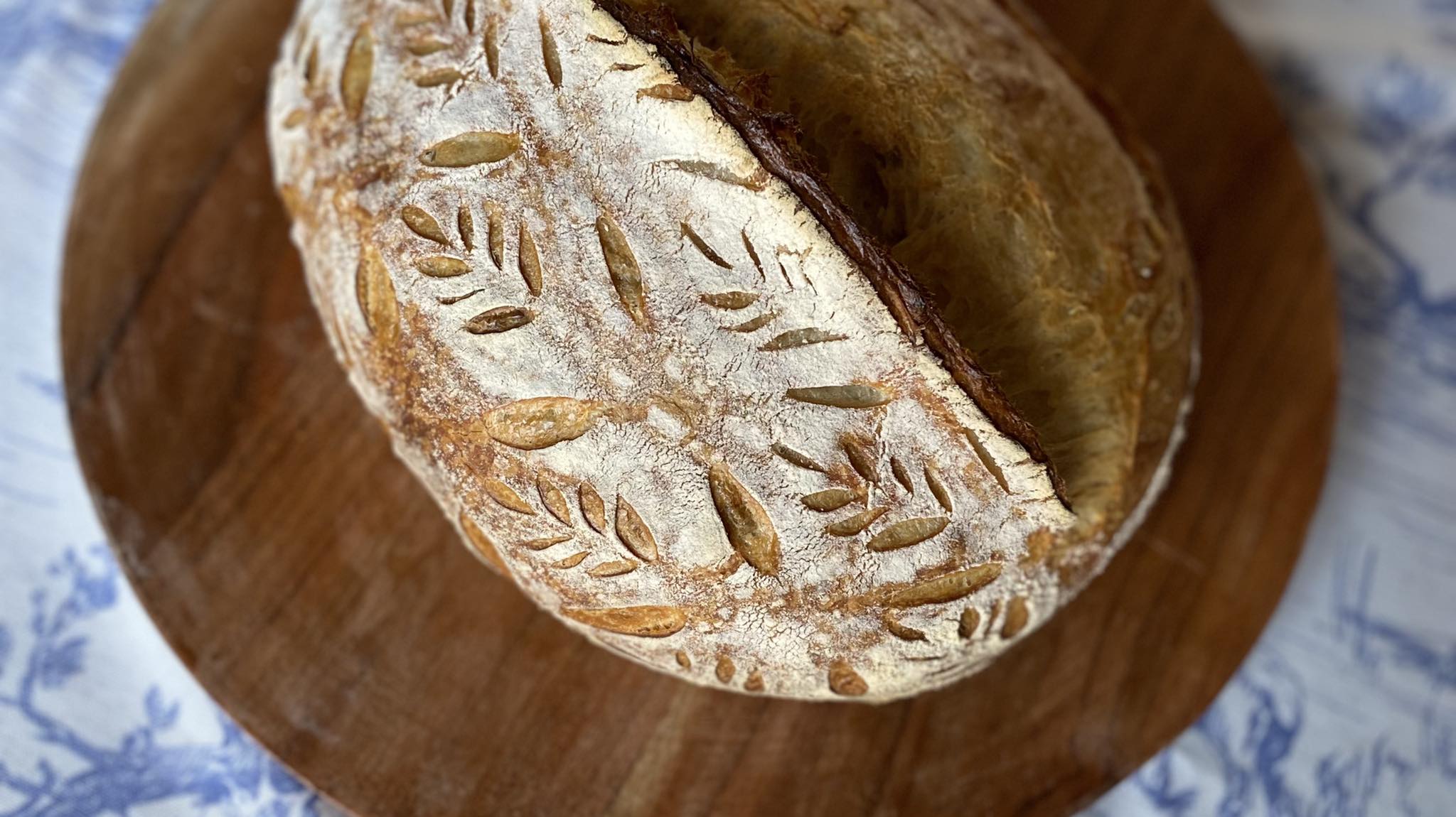 Plain Jane Bakes Fort Worth