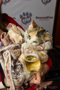 RPM Chefs for Paws Event 2025 (Photo by Pam Ashley Photography)