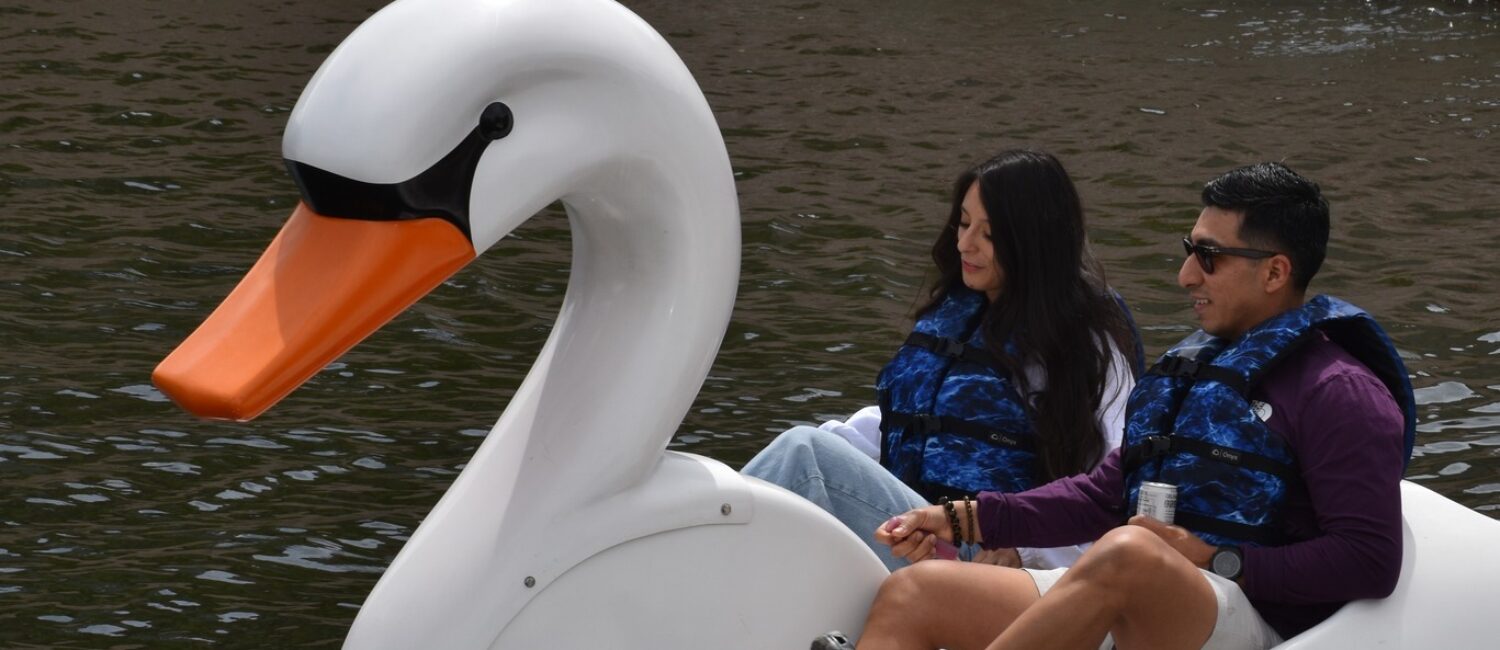 One of the surprising date night options in The Woodlands is taking a romantic swan ride through The Woodlands Waterway.