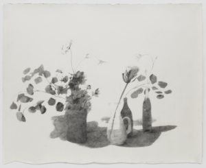 Screenshot 2025-01-30 at 12.00.07 PM