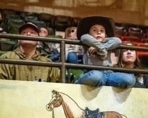 _WBZ8444 (Photo by Walt Burns)