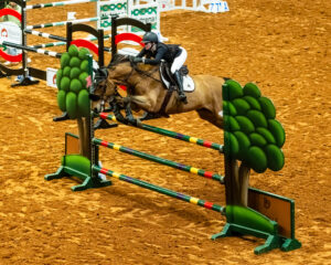 Fort Worth Rodeo (Photo by Walt Burns)