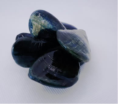 Janavi Mahimtura Folmsbee's "Mussels," 2024, was on display at Sound and Color: Water is for Everyone