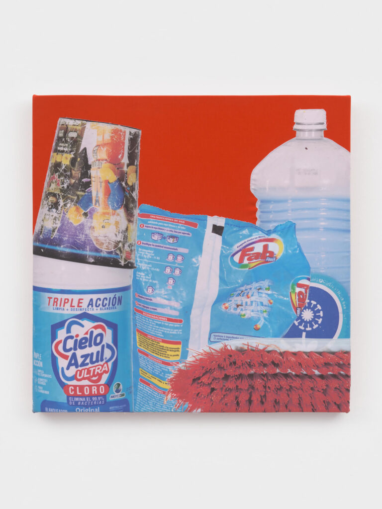 Lucia Hierro's "Lavadero de Alfredo," 2024, at Fabienne Levy