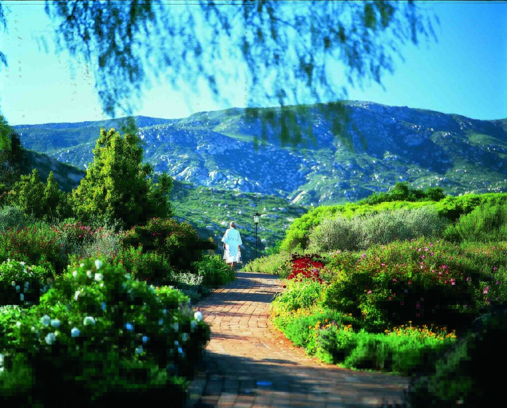 Rancho La Puerta's Spa offerings are five star, with an extensive treatment menu and relaxing facilities. 