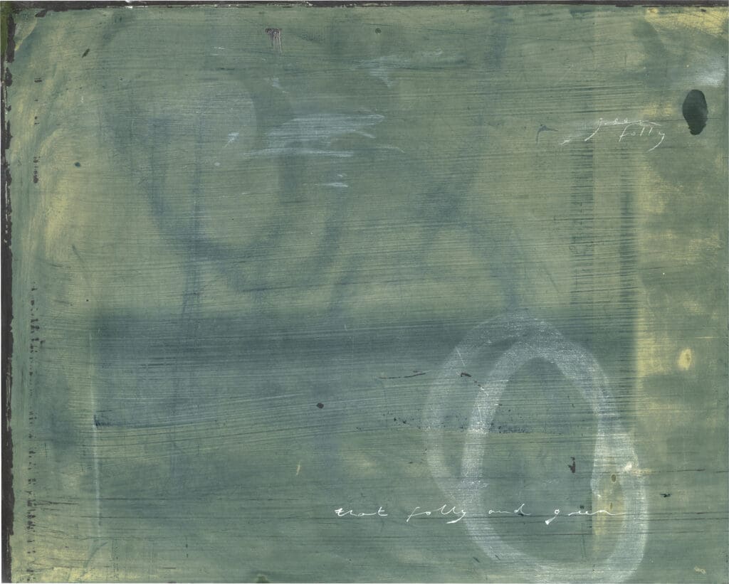 Tacita Dean's "Green Folly" (2024) at The Menil Collection. (© Tacita Dean, photo by Fredrik Nilsen Studio)