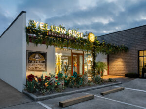 Preview – Yellow Rose by Kendra Scott – For Web-7