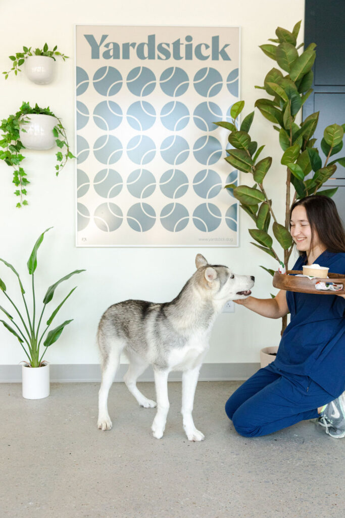 During the night, pups snooze in custom-built spacious suites designed for maximum comfort and minimal sound. (Photo courtesy of Yardstick) 