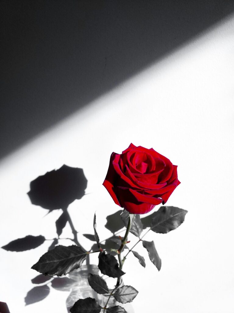 dating trends romance etiquette