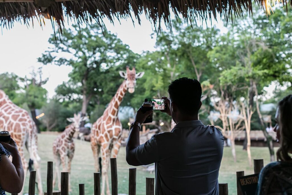 Mingle with animal friends while enjoying tasty bites at Beastro. (Courtesy)