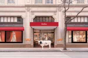 Black and White Longhorn, Neiman Marcus, Downtown Dallas