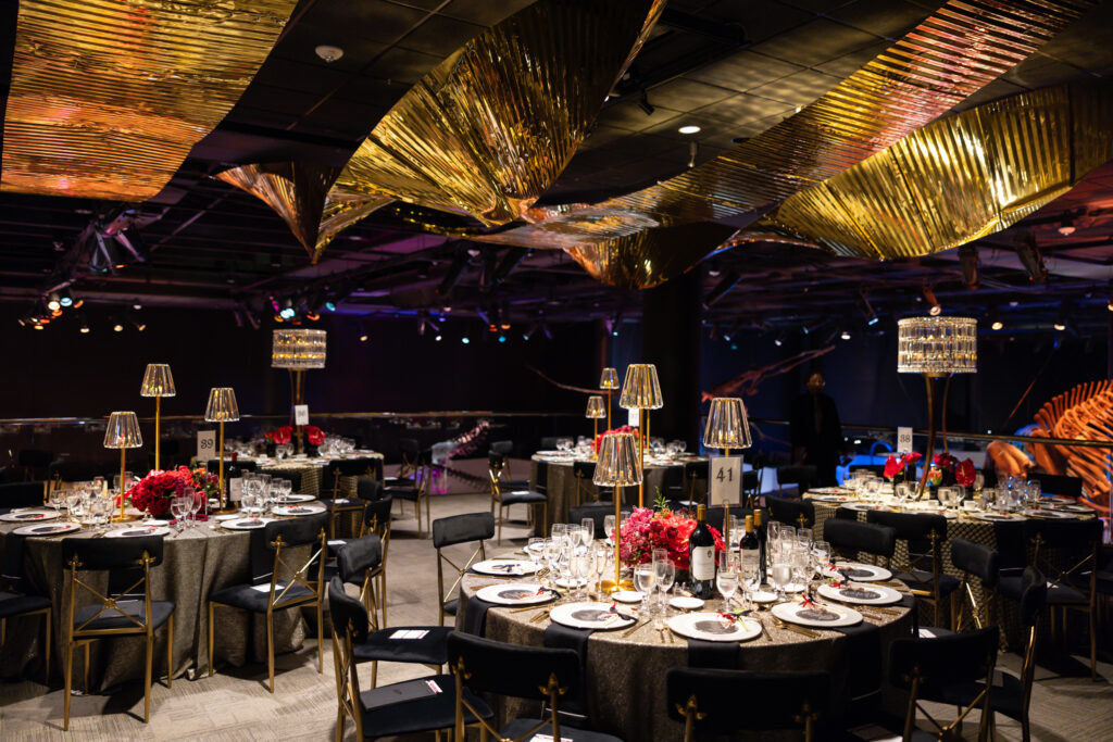 The Morian Overlook at the Houston Museum of Natural Science Morian overlook (Photo Mike Rathke)