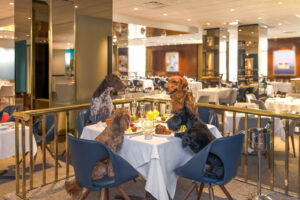 The Zodiac Room, Neiman Marcus, Downtown Dallas