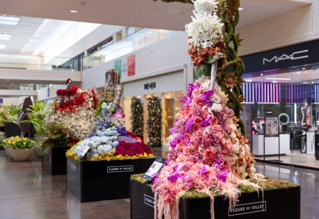 Dallasite About Town — Your Weekly Guide To The Best Things To Do in the City