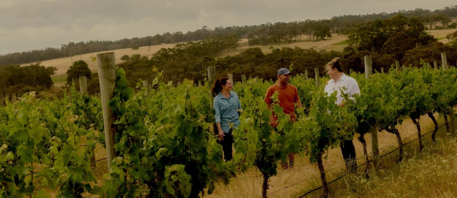 Xanadu’s estate vineyards specialize in chardonnay, sauvignon blanc, and cabernet sauvignon.