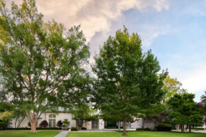 Shelby Wagner (Photo by Pär Bengtsson)