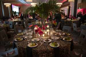 Aging Mind Foundation (Photo by Tamytha Cameron and Nate Rehlander)