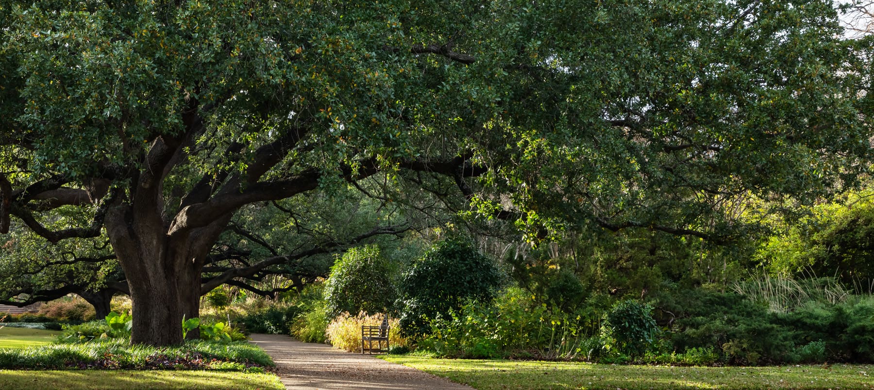 Horseshoe Garden_0007