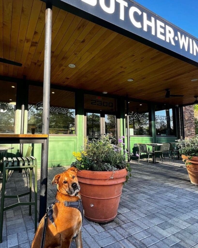 Roy Pope Grocery offers modern market charm with a shady patio perfect for you and your pup. (Courtesy)