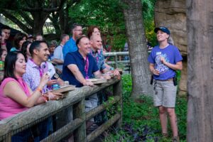 Spectators at vultures_DSC0892