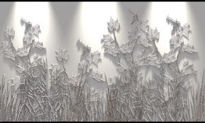 2811 Maple Brandon Mike