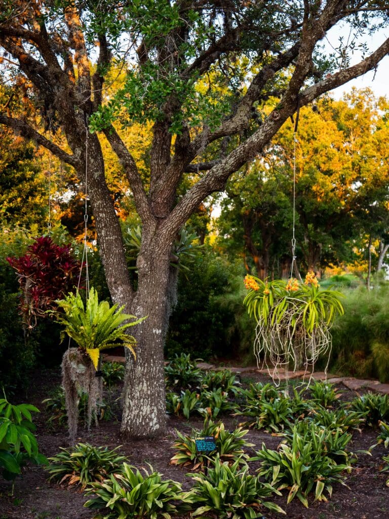 Global Collection Garden at Houston Botanic Garden (Photo Lance Childers)