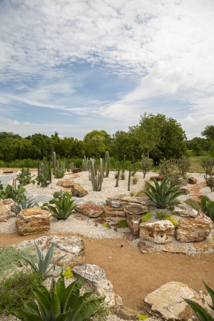 Arid Valley at Houston Botanic Garden