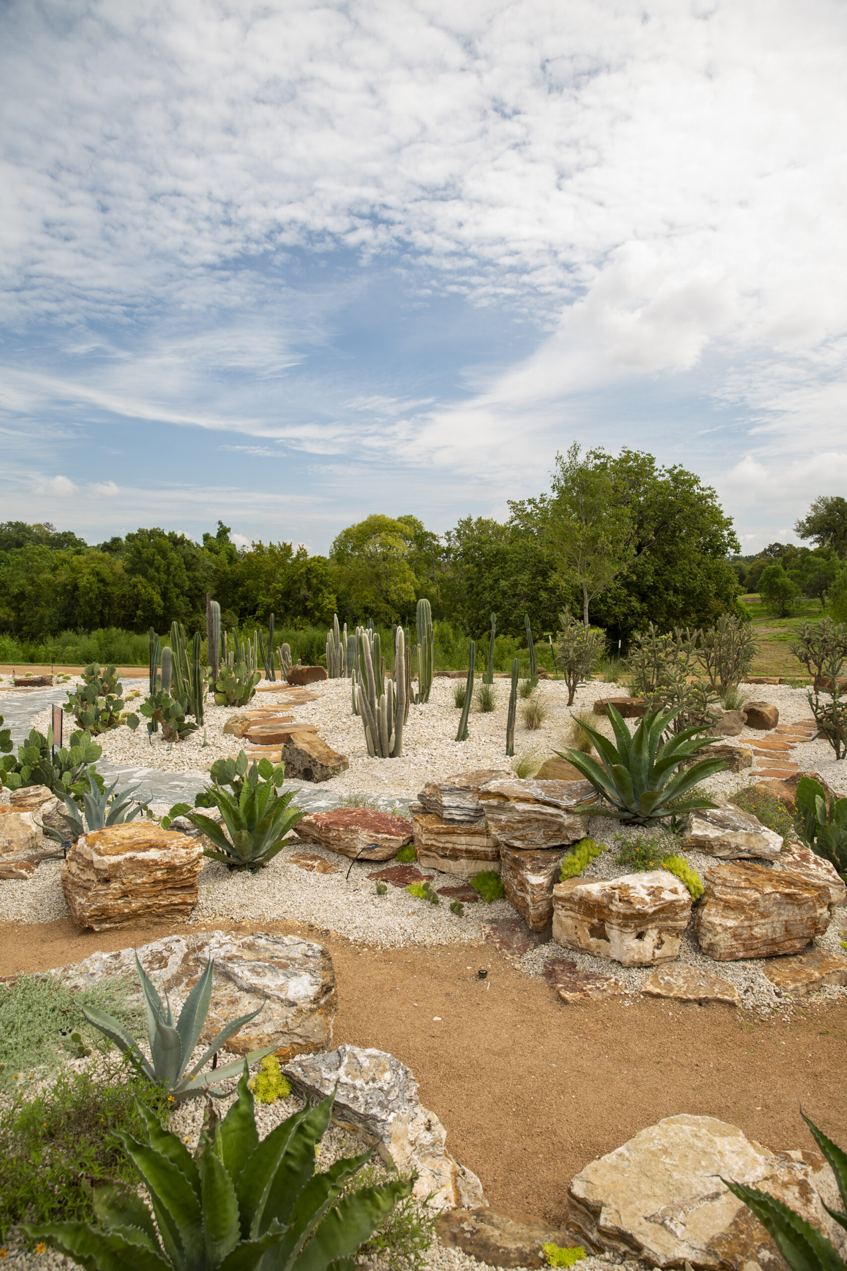HoustonBotanic-2305