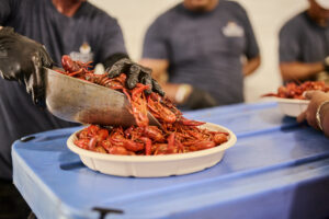 More than 6,500 pounds of crawfish were served at CrawFest on May 1; photo courtesy of Cotton Holdings, Inc. (Photo by courtesy of Cotton Holdings)