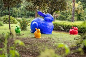 Fort Worth exhibits summer