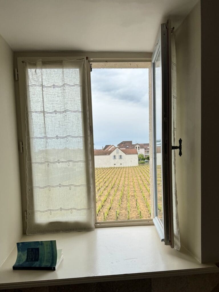 A Meursault room with a view. (Photo by James Brock)
