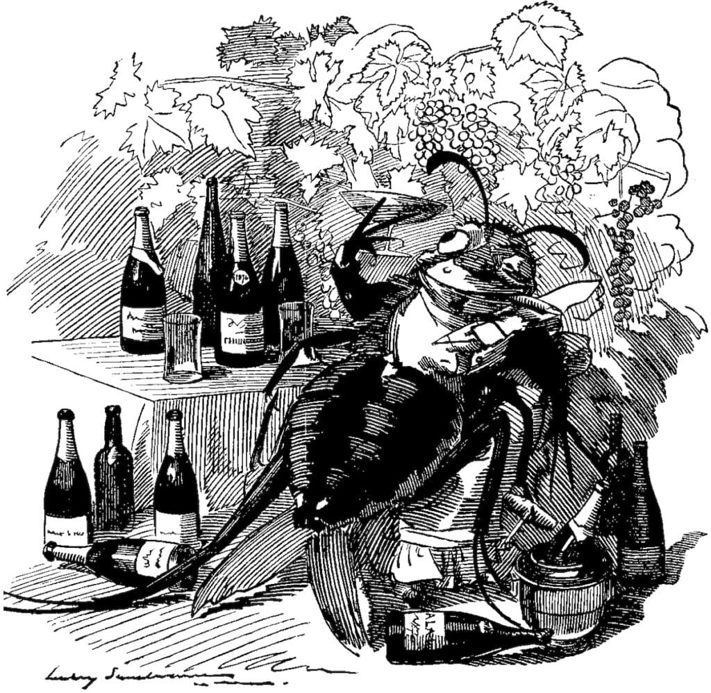 This bug is bad: Phylloxera and wine have an infamous relationship. (The Phylloxera, a True Gourmet, Finds Out the Best Vineyards and Attaches Itself to the Best Wines. Edward Linley Sambourne, Punch, September 6, 1890.)
