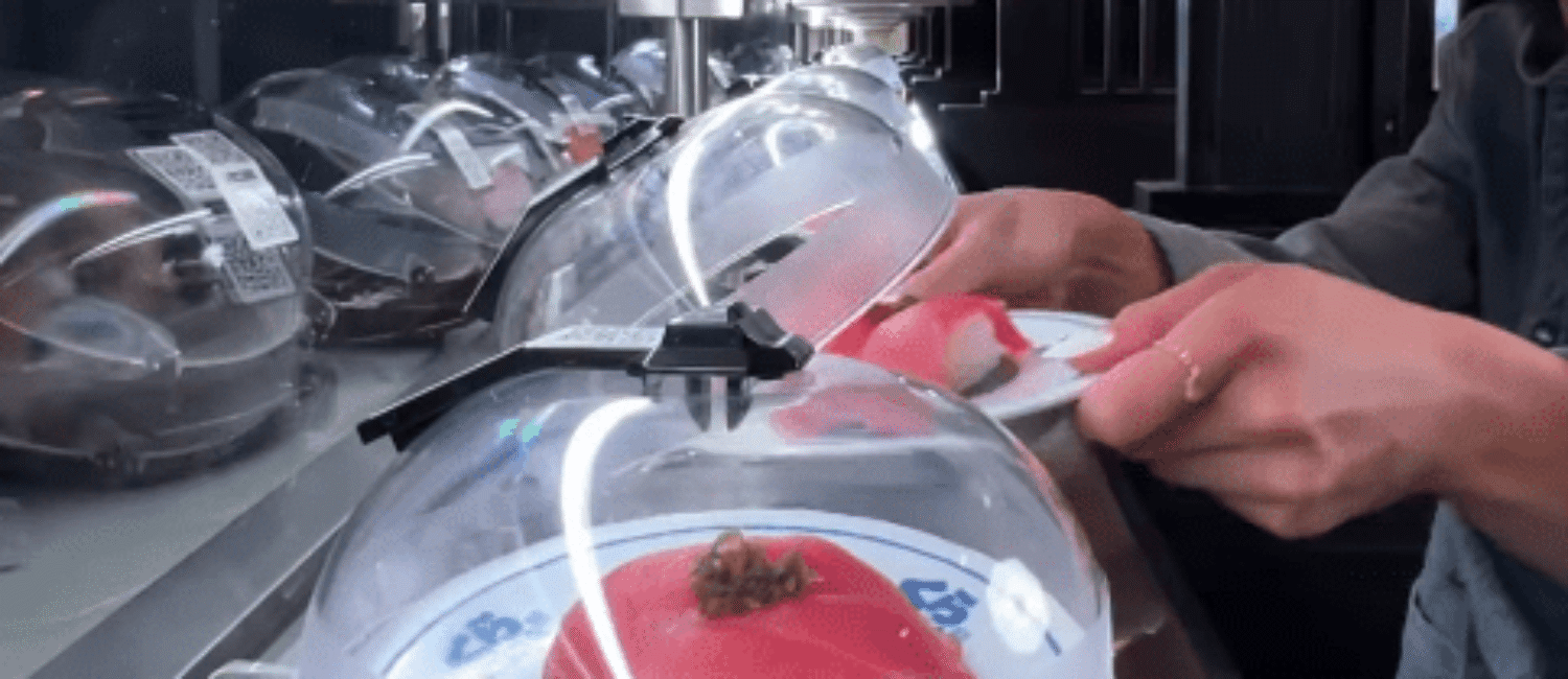 Kura Revolving Sushi Bar