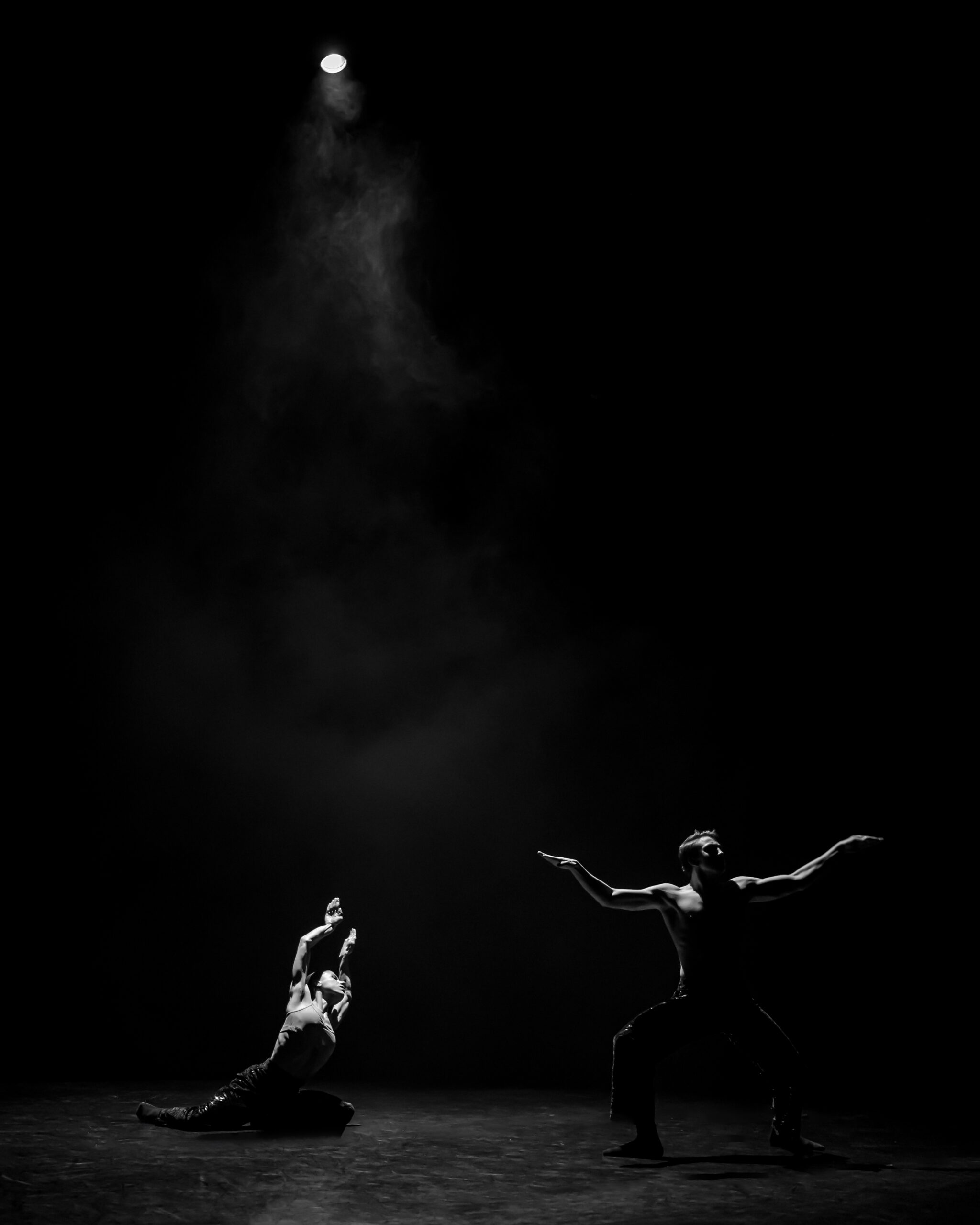 not your swan lake by ISHIDA photographed by Ralph Arvesen