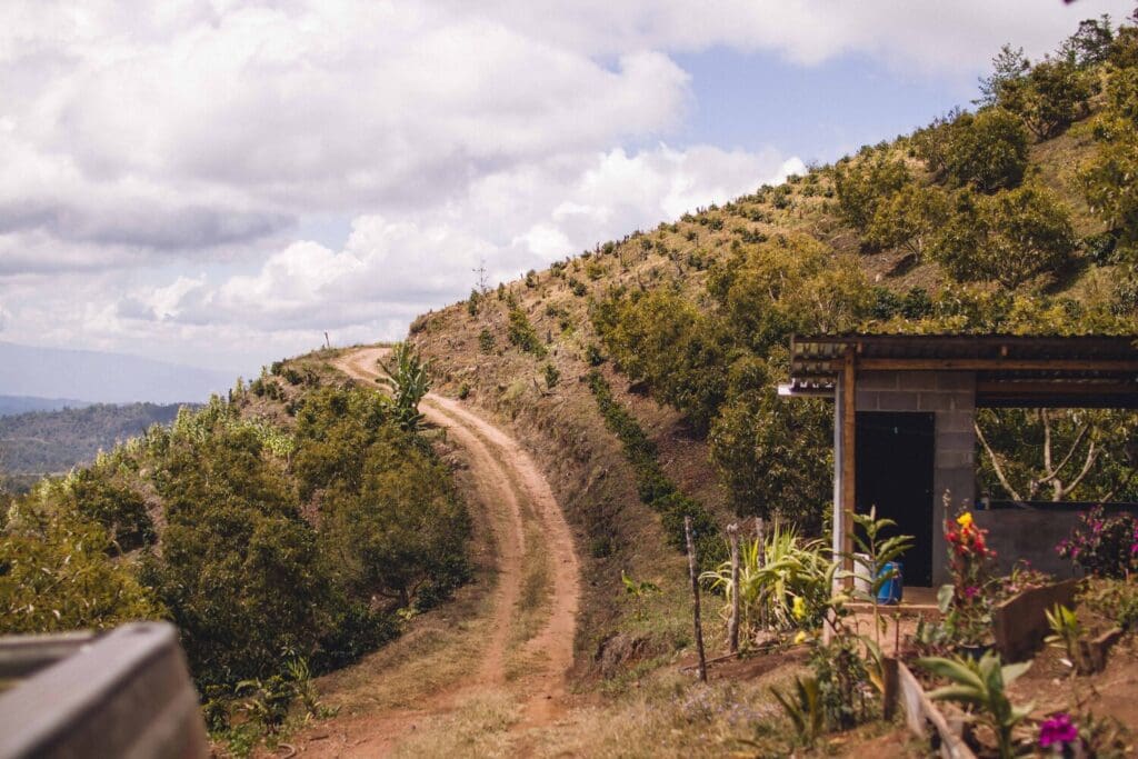 When you get a coffee from Third Gen, you're not just enjoying a drink; you're also supporting the dream of third-generation Honduran coffee farmers. (Photo courtesy of Third Gen Coffee)