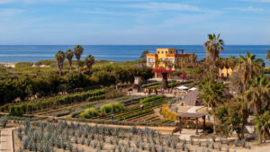 Villa Santa Cruz Todos Santos Farm Baja Mexico