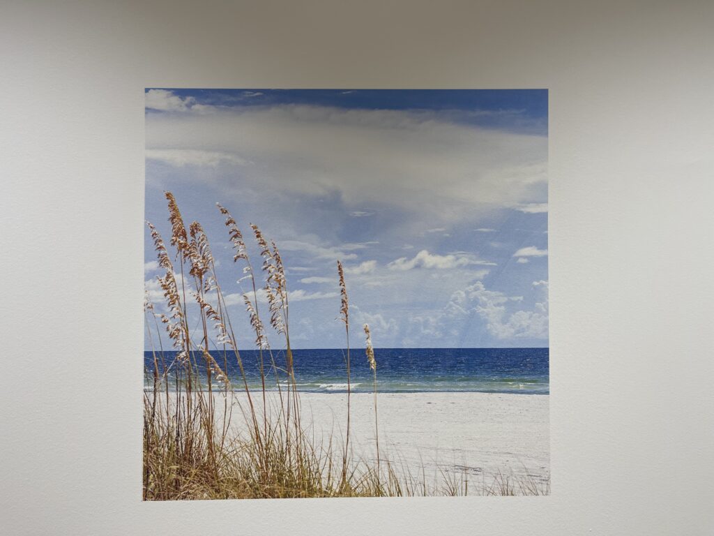 American Art Resources (AAR) is a turnkey consulting firm that creates healing environments and meaningful spaces that enrich the human experience.