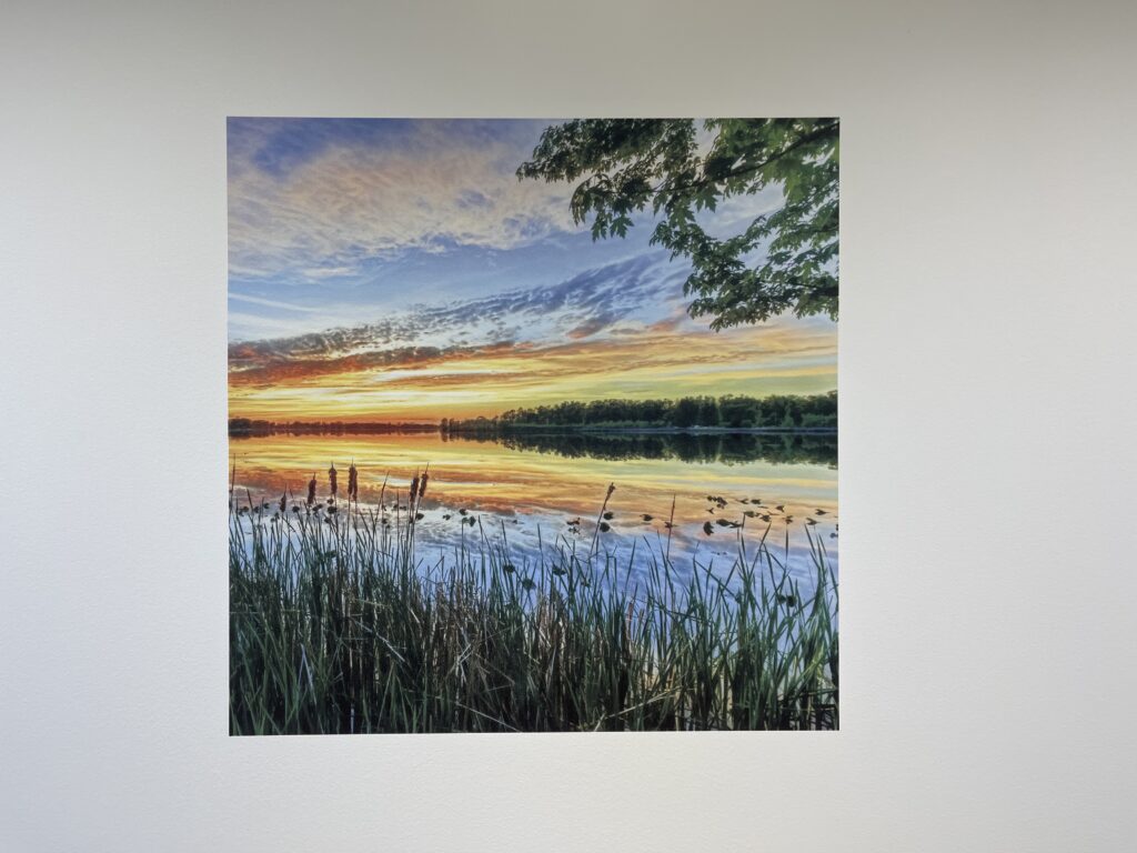 Patients with views of nature or soothing artwork often need less pain medication and report feeling more comfortable.