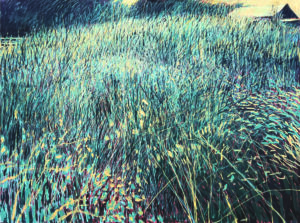 William Anzalone_My Fields #14_2025_oil on canvas_36x48-min