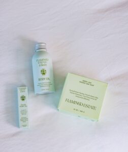 JW Marriott Dallas Arts District