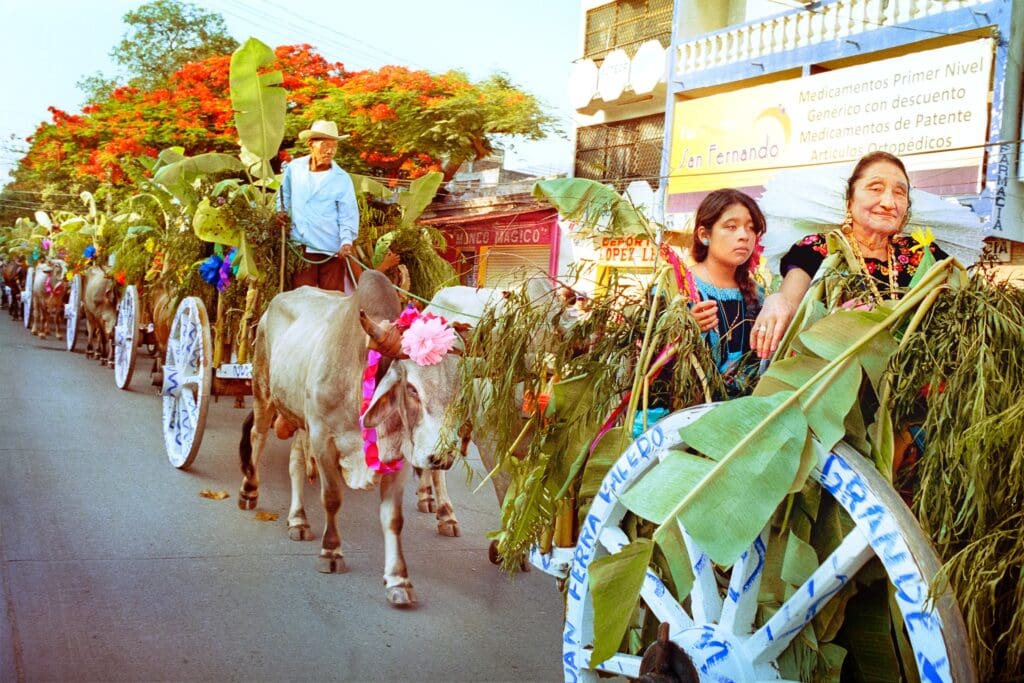 Laura Wilson's "Parade of Oxen, Grandmother with Granddaughter, La Feria de las Velas, Juchitán, Oaxaca," 2011, at Meadows Museum, SMU (© Laura Wilson)