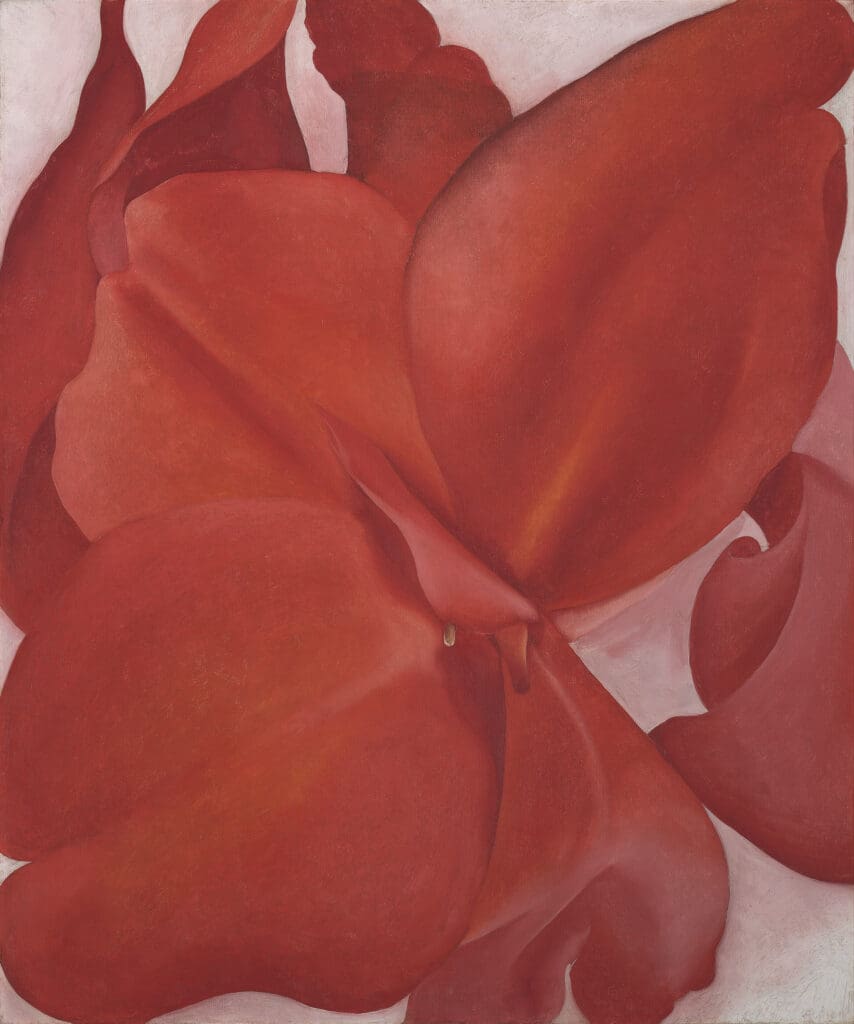 "Red Cannas," 1927, by Georgia O'Keeffe (Courtesy of Amon Carter Museum of American Art)