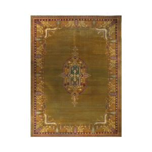 RenCollection Rugs 12×16 Antique Indian Agra Rug