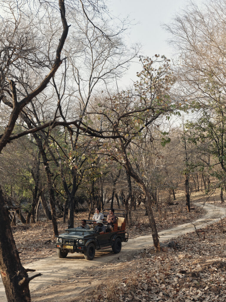 Abercrombie & Kent's Tiger Trekking journey is a way to contribute to important conservation efforts while indulging in a luxury guest experience.
