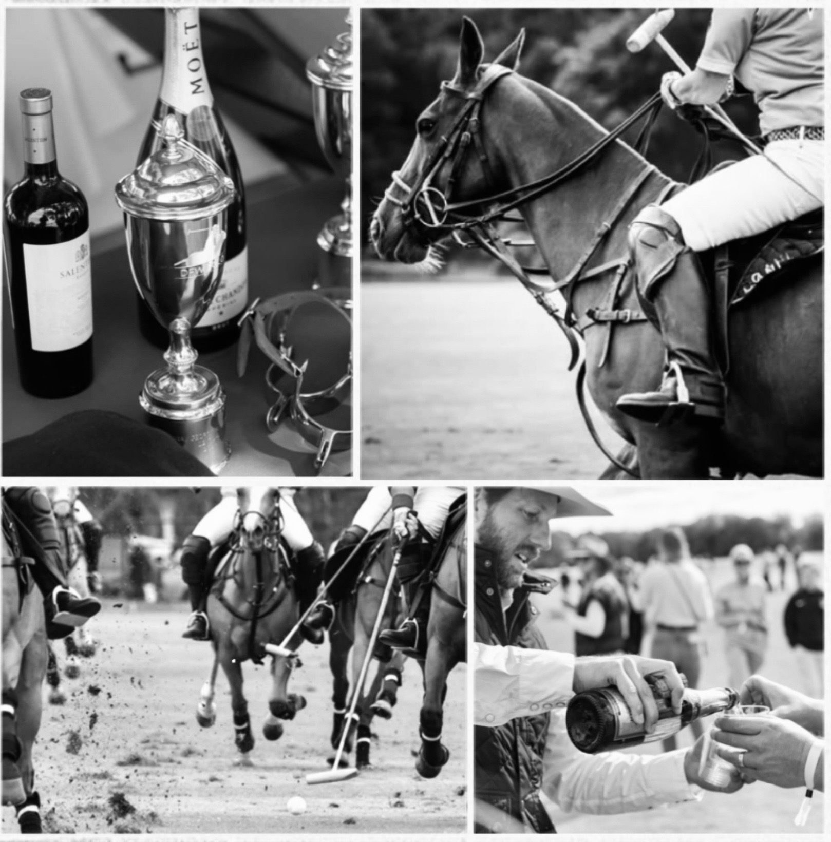 Aging Mind Polo Cup